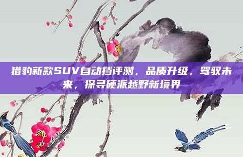 猎豹新款SUV自动挡评测,品质升级,驾驭未来,探寻硬派越野新境界