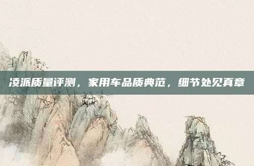 凌派质量评测,家用车品质典范,细节处见真章