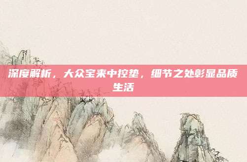 深度解析,大众宝来中控垫,细节之处彰显品质生活