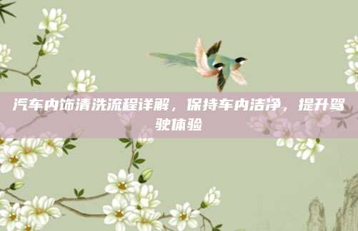汽车内饰清洗流程详解,保持车内洁净,提升驾驶体验