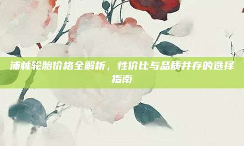 浦林轮胎价格全解析,性价比与品质并存的选择指南