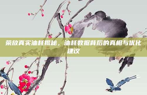 荣放真实油耗揭秘,油耗数据背后的真相与优化建议