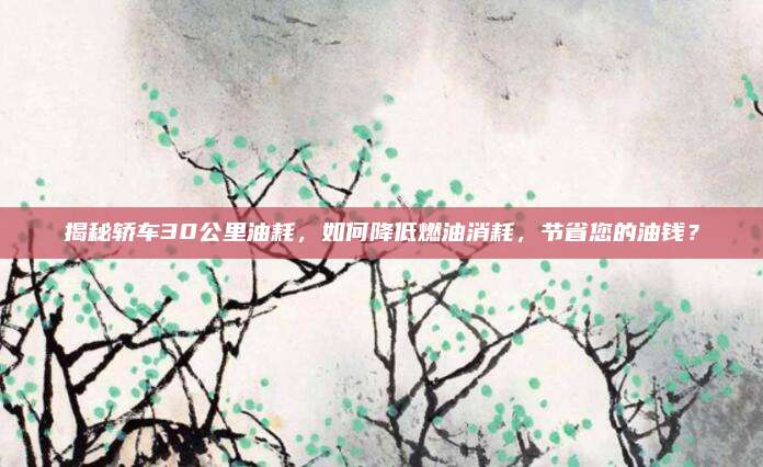 揭秘轿车30公里油耗,如何降低燃油消耗,节省您的油钱?