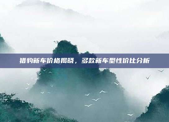 猎豹新车价格揭晓,多款新车型性价比分析