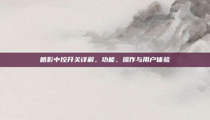 皓影中控开关详解，功能、操作与用户体验