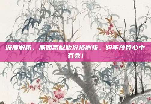 深度解析,威朗高配版价格解析,购车预算心中有数!