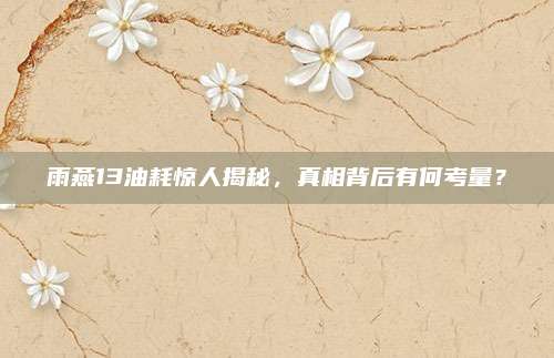 雨燕13油耗惊人揭秘,真相背后有何考量?