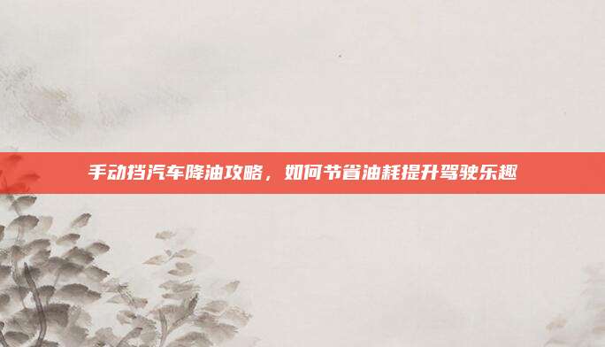 手动挡汽车降油攻略,如何节省油耗提升驾驶乐趣