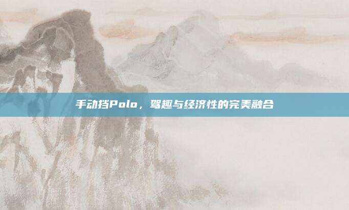 手动挡Polo,驾趣与经济性的完美融合