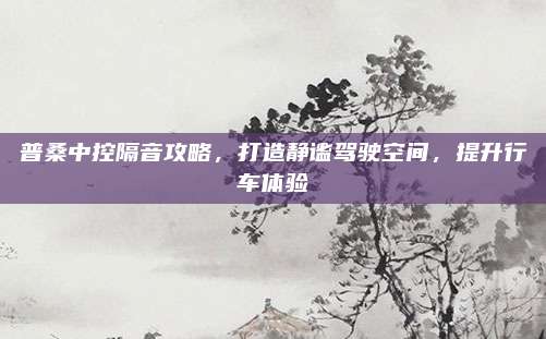 普桑中控隔音攻略,打造静谧驾驶空间,提升行车体验