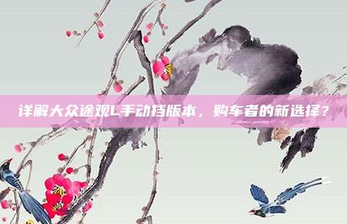 详解大众途观L手动挡版本,购车者的新选择?