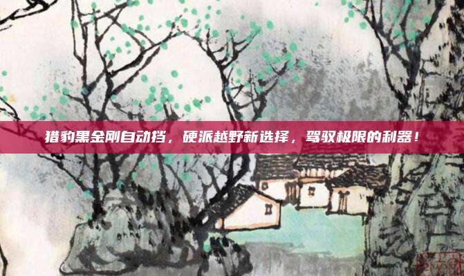 猎豹黑金刚自动挡,硬派越野新选择,驾驭极限的利器!