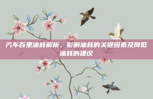 汽车百里油耗解析,影响油耗的关键因素及降低油耗的建议