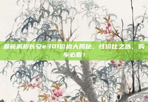最新解析长安e301价格大揭秘,性价比之选,购车必看!