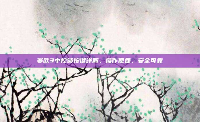 赛欧3中控锁按键详解,操作便捷,安全可靠