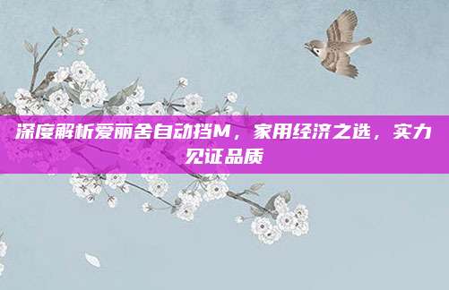 深度解析爱丽舍自动挡M,家用经济之选,实力见证品质