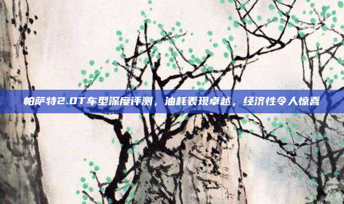 帕萨特2.0T车型深度评测,油耗表现卓越,经济性令人惊喜
