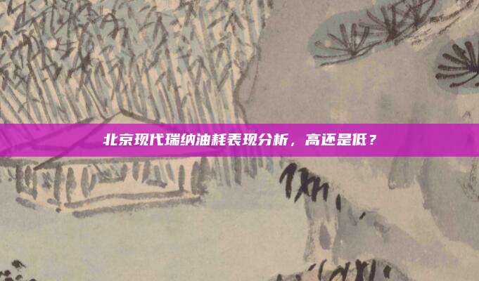 北京现代瑞纳油耗表现分析,高还是低?