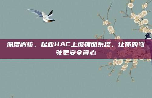 深度解析,起亚HAC上坡辅助系统,让你的驾驶更安全省心