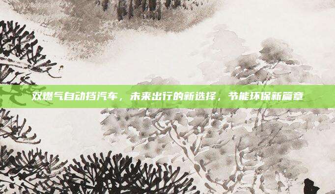 双燃气自动挡汽车,未来出行的新选择,节能环保新篇章