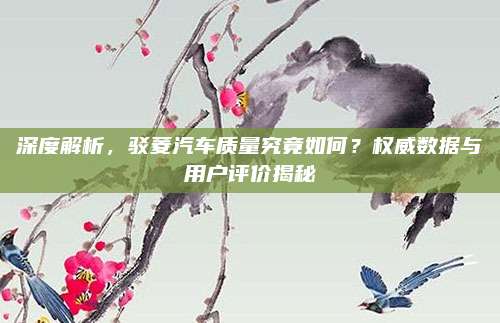 深度解析,驳菱汽车质量究竟如何?权威数据与用户评价揭秘