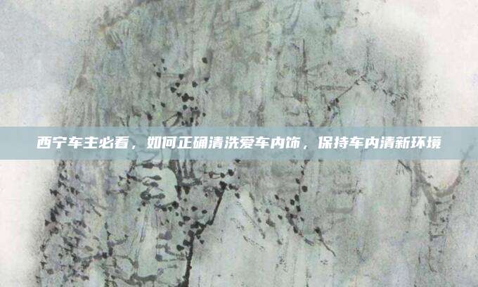 西宁车主必看,如何正确清洗爱车内饰,保持车内清新环境