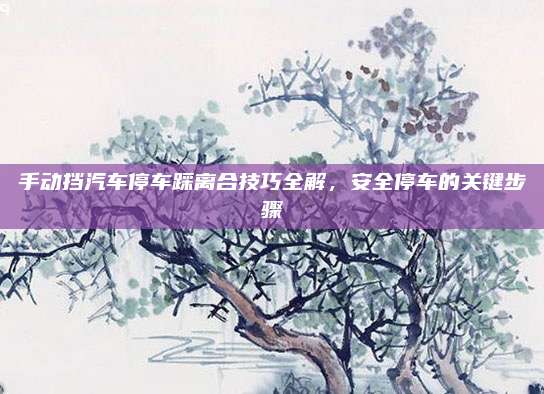 手动挡汽车停车踩离合技巧全解,安全停车的关键步骤