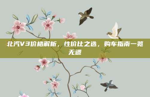 北汽V3价格解析,性价比之选,购车指南一览无遗