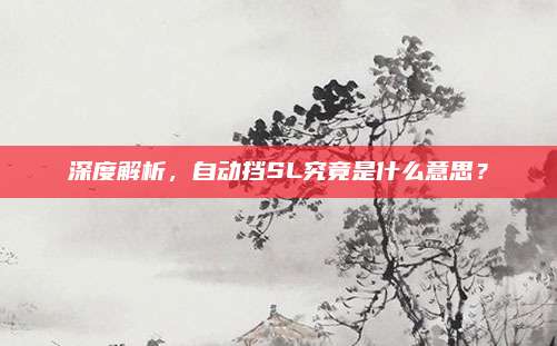 深度解析,自动挡SL究竟是什么意思?
