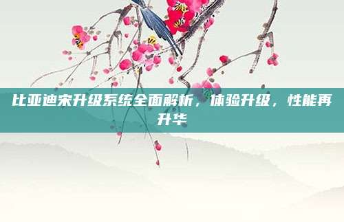 比亚迪宋升级系统全面解析，体验升级，性能再升华