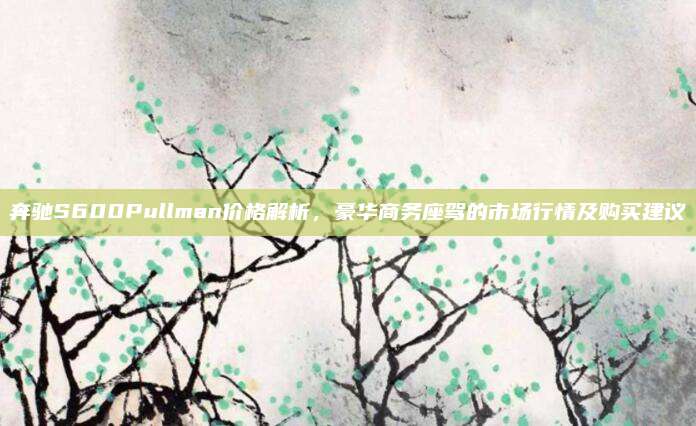 奔驰S600Pullman价格解析,豪华商务座驾的市场行情及购买建议