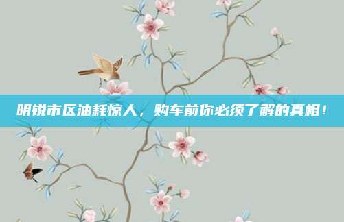 明锐市区油耗惊人，购车前你必须了解的真相！