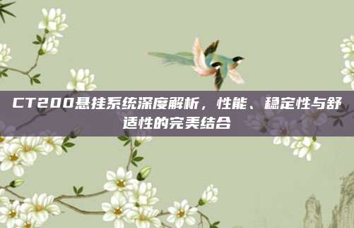 CT200悬挂系统深度解析,性能、稳定性与舒适性的完美结合