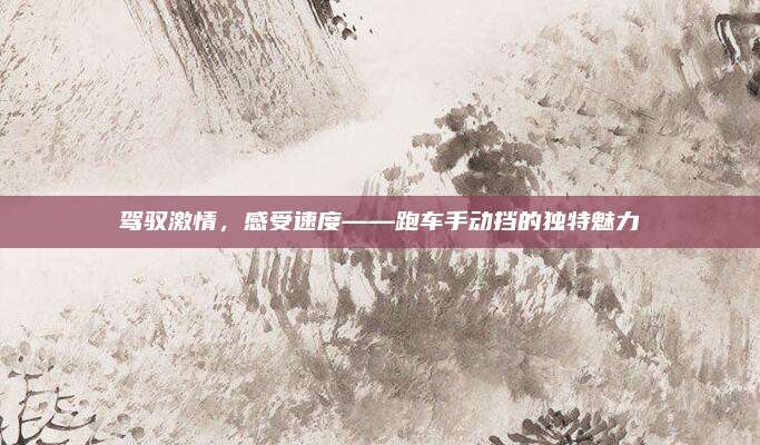 驾驭激情,感受速度——跑车手动挡的独特魅力