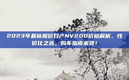 2023年最新报价日产NV200价格解析，性价比之选，购车指南来袭！
