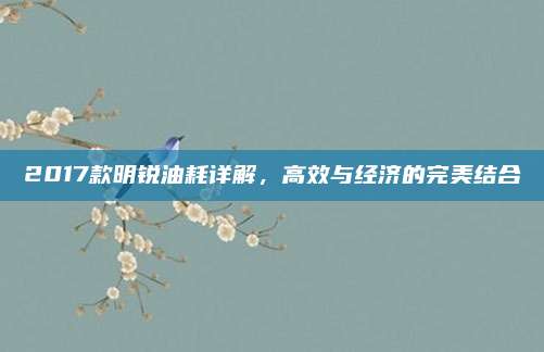 2017款明锐油耗详解,高效与经济的完美结合