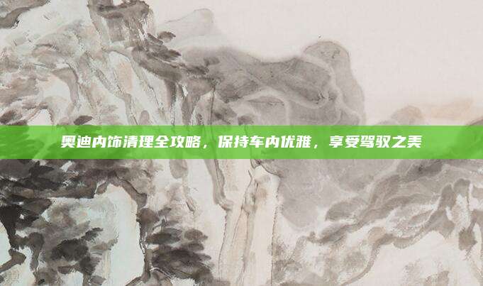 奥迪内饰清理全攻略，保持车内优雅，享受驾驭之美
