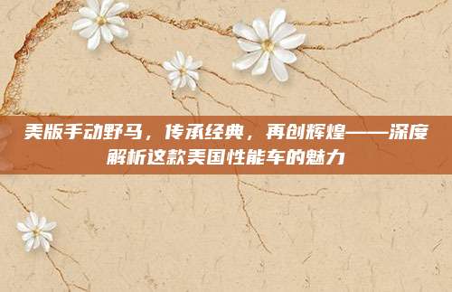 美版手动野马,传承经典,再创辉煌——深度解析这款美国性能车的魅力