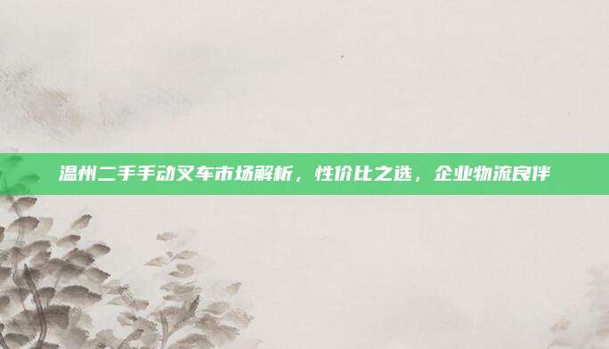 温州二手手动叉车市场解析,性价比之选,企业物流良伴