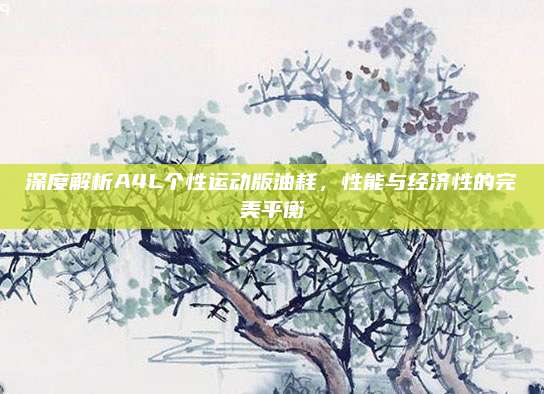 深度解析A4L个性运动版油耗,性能与经济性的完美平衡