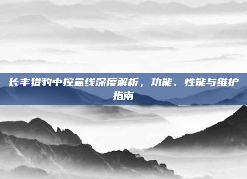 长丰猎豹中控盒线深度解析,功能、性能与维护指南