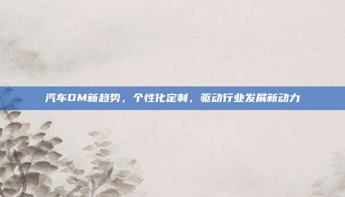 汽车DM新趋势,个性化定制,驱动行业发展新动力