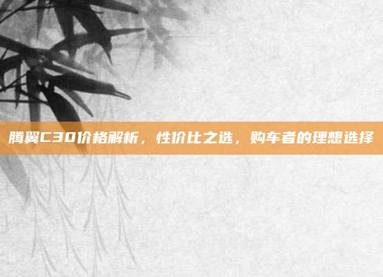 腾翼C30价格解析,性价比之选,购车者的理想选择