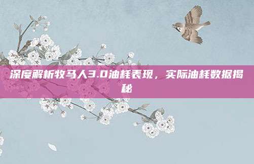 深度解析牧马人3.0油耗表现,实际油耗数据揭秘