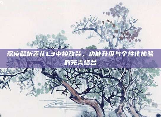 深度解析莲花L3中控改装,功能升级与个性化体验的完美结合