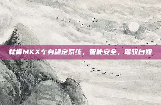 林肯MKX车身稳定系统,智能安全,驾驭自如