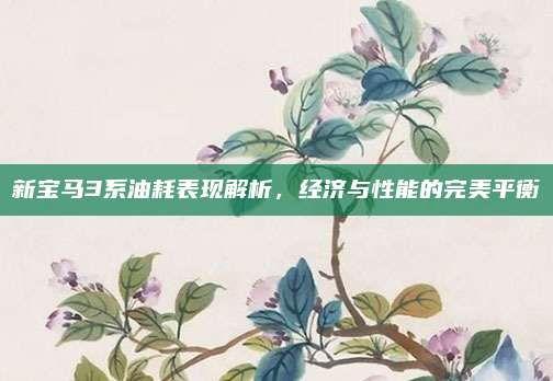 新宝马3系油耗表现解析，经济与性能的完美平衡