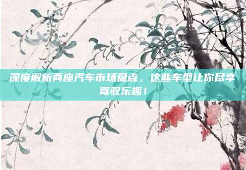 深度解析两座汽车市场盘点,这些车型让你尽享驾驭乐趣!