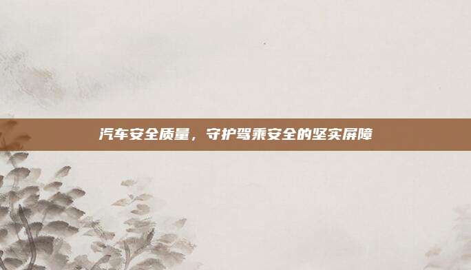 汽车安全质量,守护驾乘安全的坚实屏障