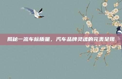 揭秘一流车标质量,汽车品牌灵魂的完美呈现